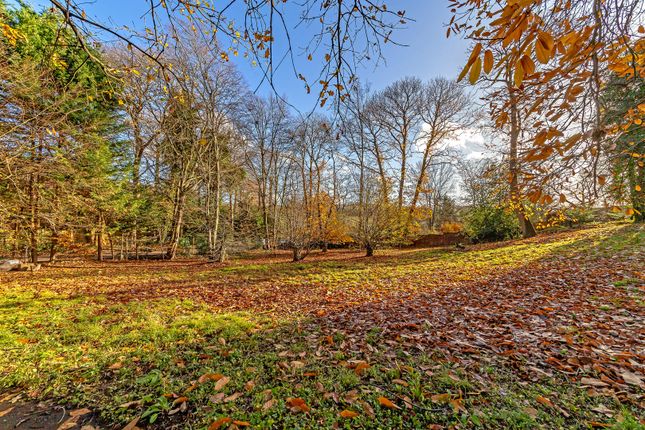 9, The Avenue, Welwyn photo 3