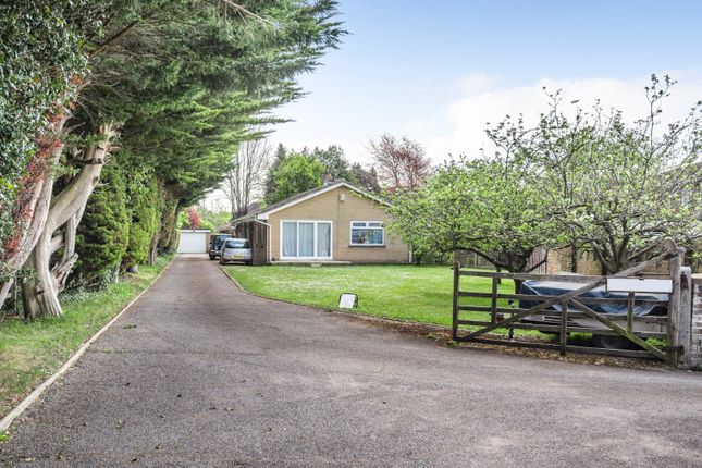 Bungalow for sale in The Orchard, Shoreham, West Sussex