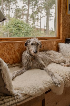 314768 - _A742029.Jpg