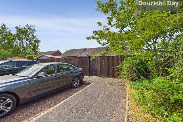 Parking At Rear
