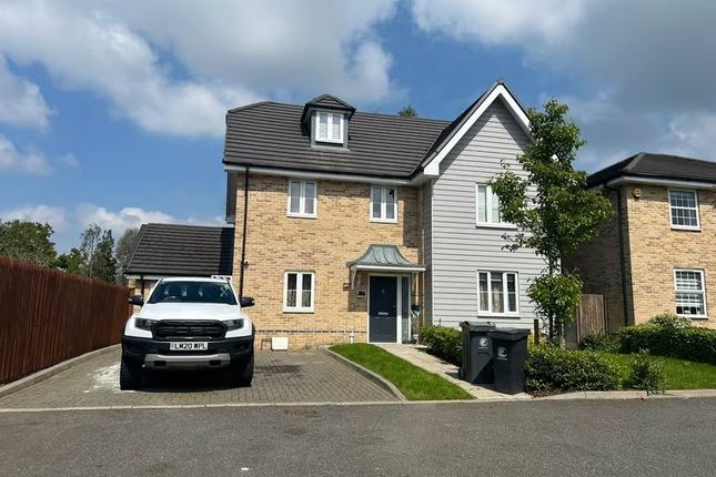 Thumbnail Detached house to rent in Cobmead Grove, Waltham Abbey, Essex