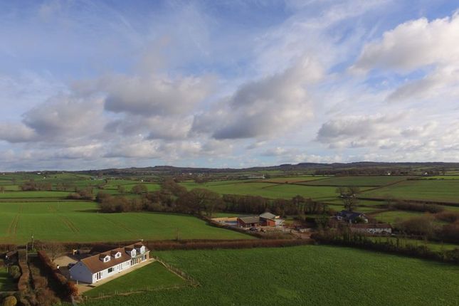 Detached house for sale in Exton, Exeter
