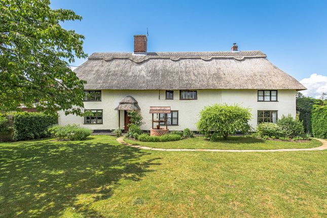 Old Farm & Barn, Merton, Thetford photo 3