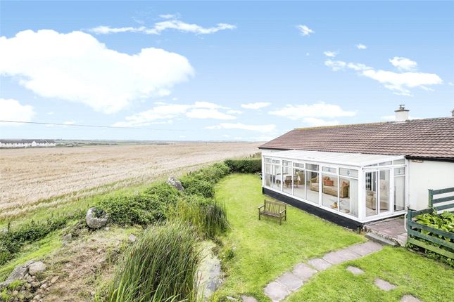 Thumbnail Bungalow for sale in Sennen, Penzance, Cornwall