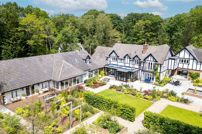 Acorn Lodge