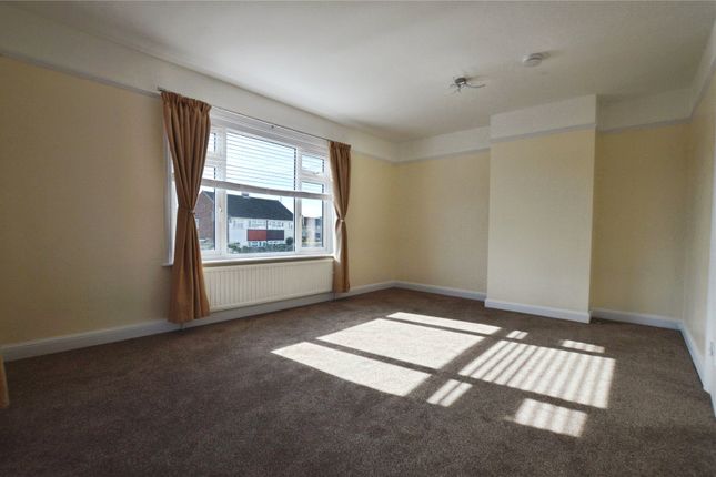 Studio Flat Over Newsagents, Takeley photo 2
