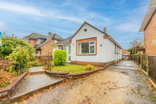 Thumbnail Detached bungalow for sale in Ipswich Road, Norwich