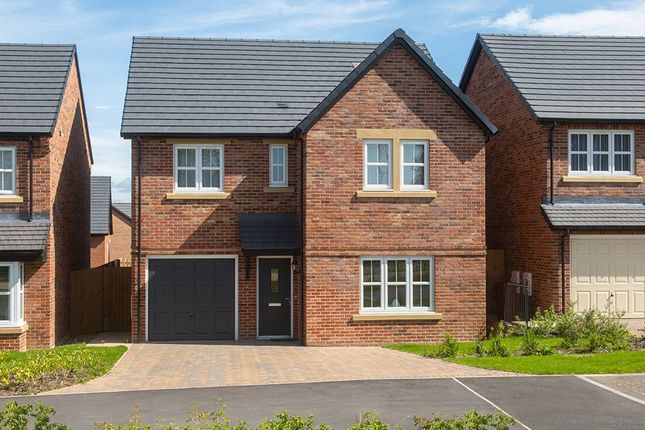 Thumbnail Detached house for sale in "Sanderson" at Ruswarp Drive, Sunderland