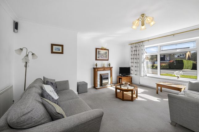 63, Alphington Avenue, Camberley photo 4