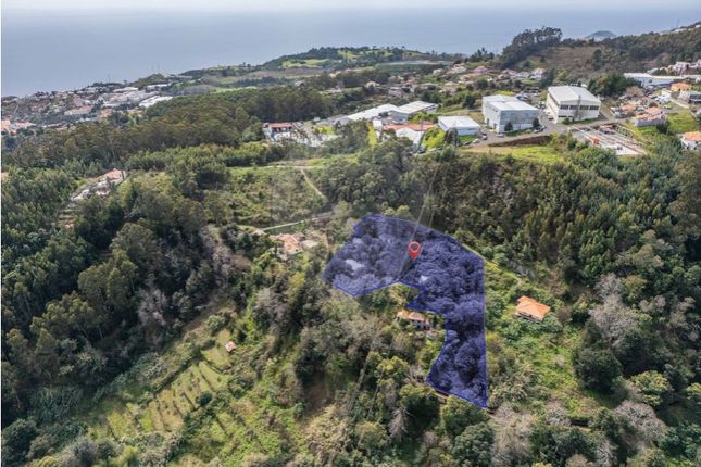 Thumbnail Detached house for sale in Camacha, Santa Cruz, Ilha Da Madeira