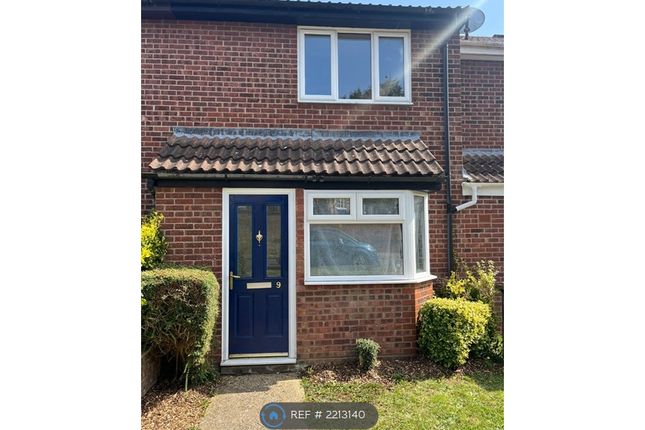 Thumbnail Terraced house to rent in Talbot Road, Sudbury