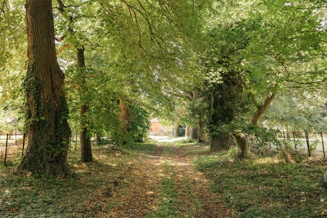 Grounds
