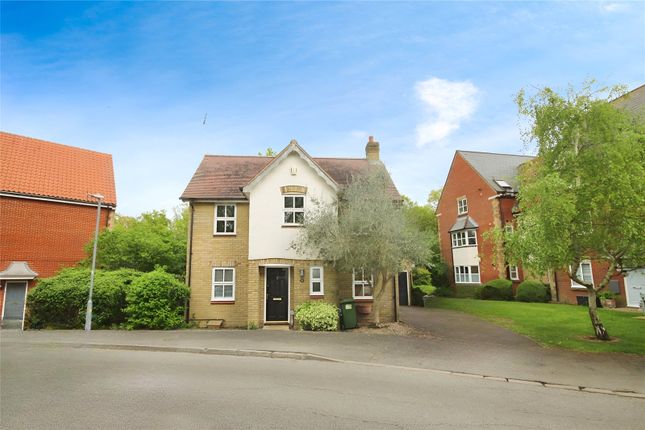 Thumbnail Detached house to rent in Bramble Tye, Basildon