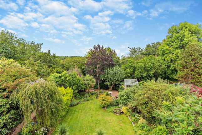 View And Garden