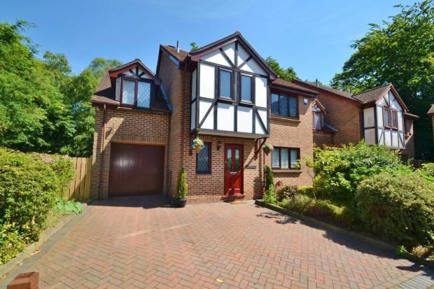 Thumbnail Detached house to rent in Fitzroy Close, Southampton