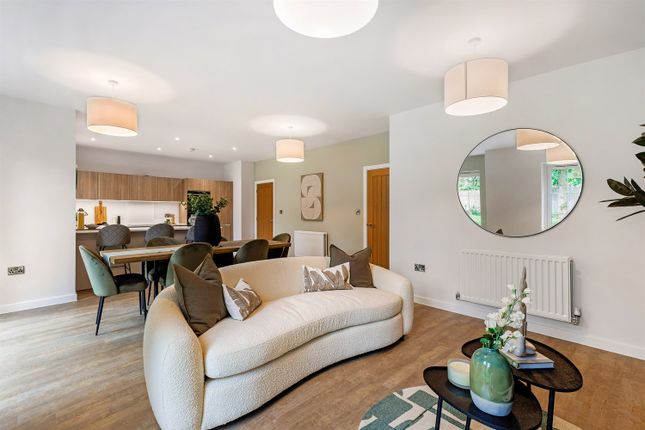 Open Plan Family/Dining/Kitchen