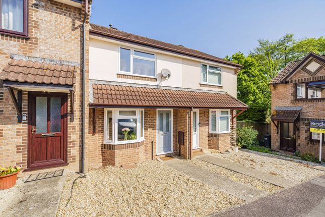 Thumbnail Terraced house for sale in Butts Close, Honiton, Devon