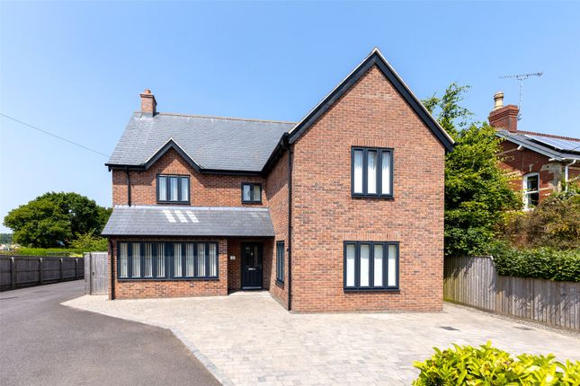 Thumbnail Detached house for sale in The Halve, Warminster