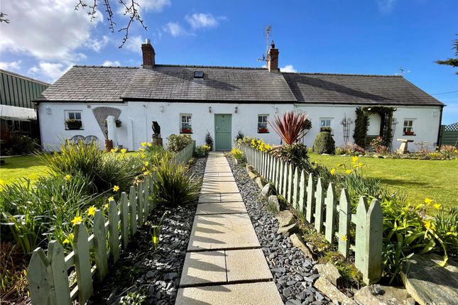 Thumbnail Cottage for sale in Rhoshirwaun, Gwynedd