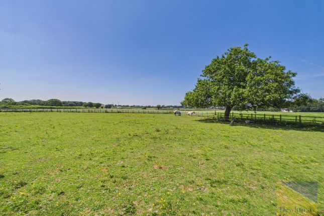 2, Poultons Farm, Preston photo 3