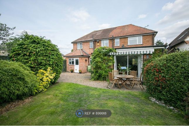 Detached house to rent in Green Lane, Godalming