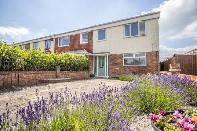 Thumbnail Semi-detached house for sale in Anson Chase, Shoeburyness, Southend-On-Sea