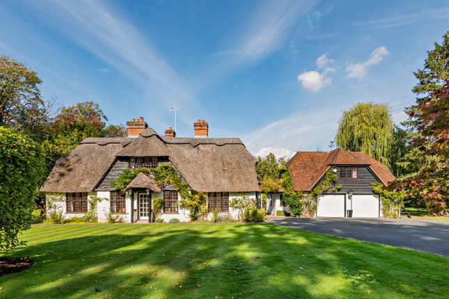 Cuckoo Cottage,, Warfield, Berkshire photo 3
