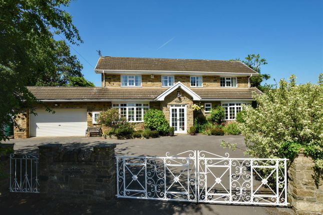 External