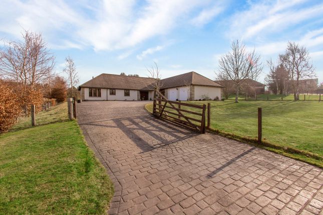 Thumbnail Bungalow for sale in Craigie Hill, Leuchars, St Andrews