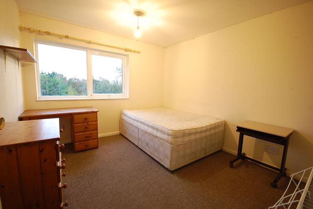 Property to rent in Forest Road, Colchester