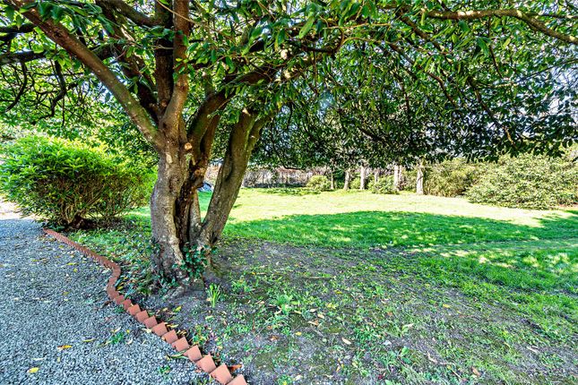 Gardens And Grounds
