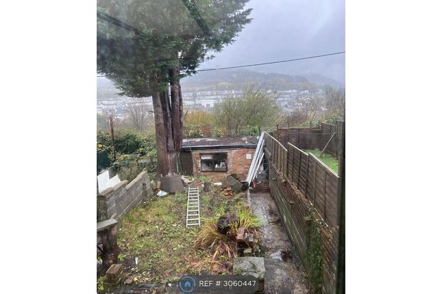 Rhys St, Trealaw, Tonypandy photo 2