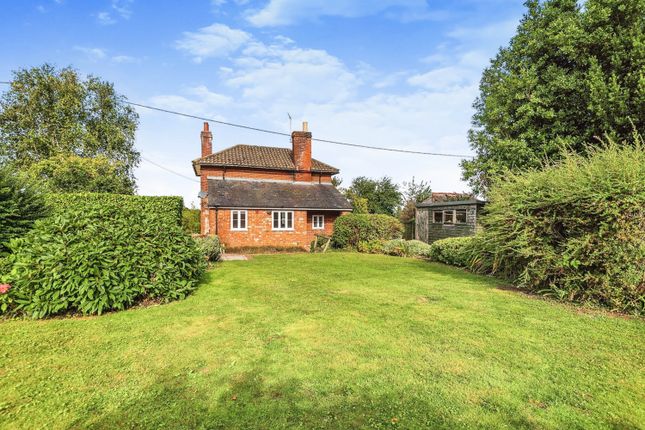 Thumbnail Property for sale in North Street, Sheldwich, Faversham