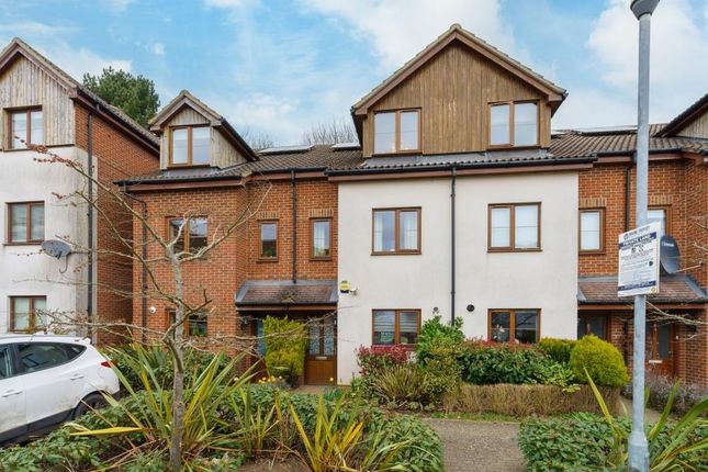 Dsc01307 - 800Px.Jpg