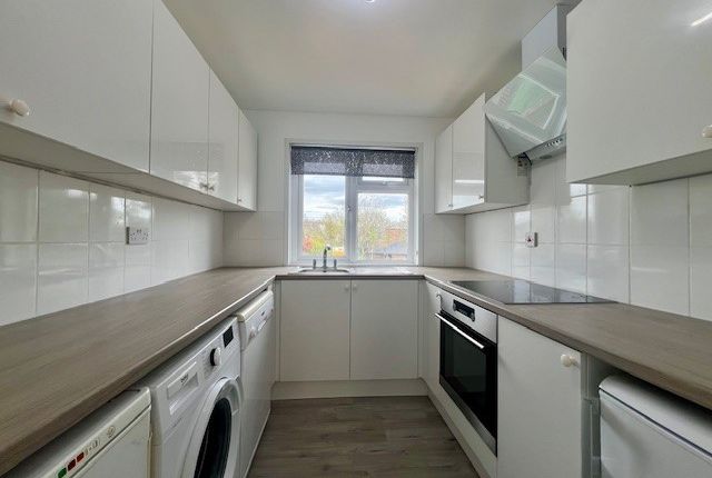 Thumbnail Property to rent in Fountains Close, Basingstoke