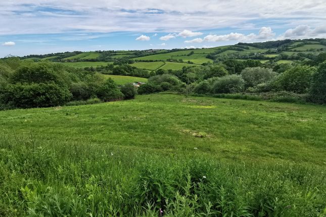 Thumbnail Land for sale in Barn For Conversion, Pound Lane, Whitestone