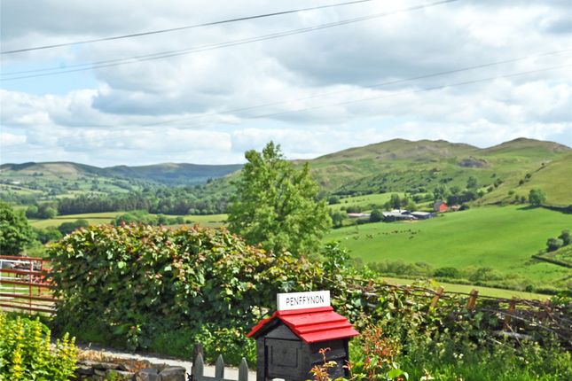 View From Garden