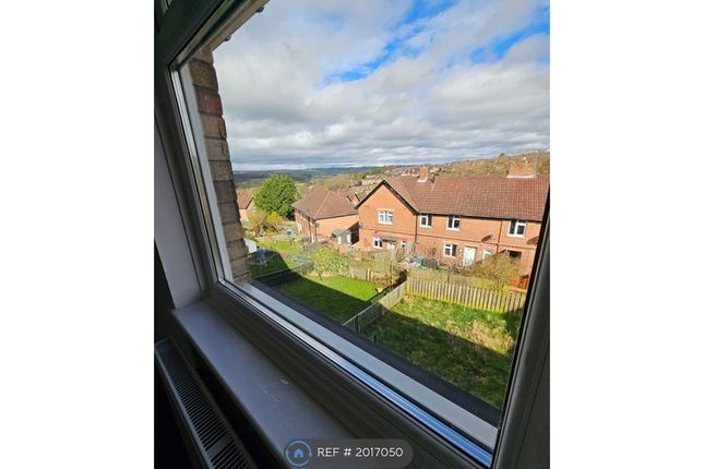 Thumbnail Semi-detached house to rent in Chaytor Road, Consett