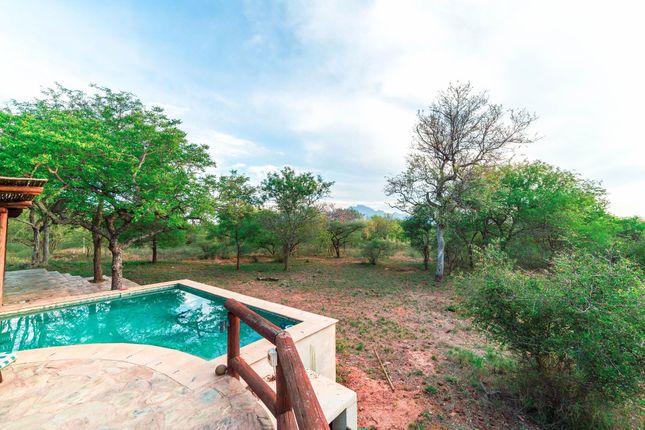 Detached house for sale in 1 Happyland, 368 Leadwood, Leadwood, Hoedspruit, Limpopo Province, South Africa