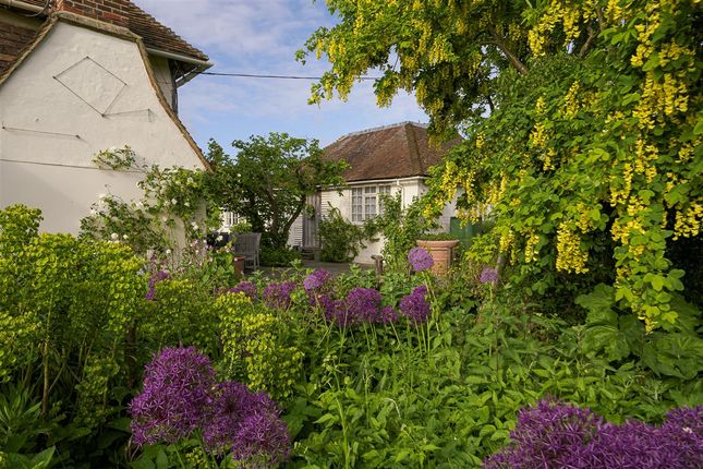 The Cottage, Faversham photo 4