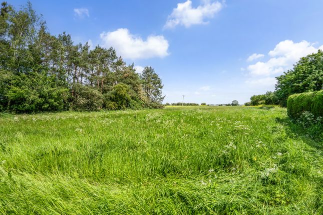 Palma Nook, Conisholme Road, Louth photo 3