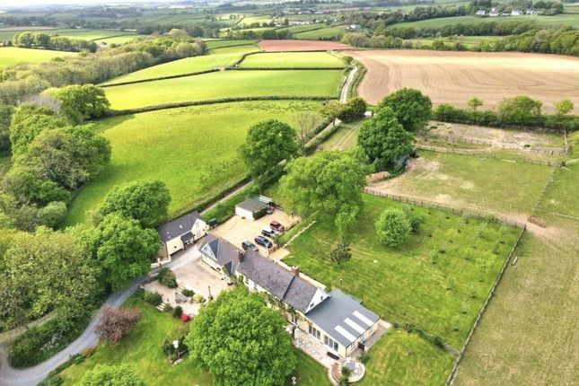 Redhays Farm, Broadwoodkelly, Winkleigh photo 3
