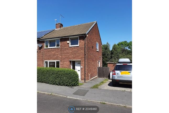 Thumbnail Semi-detached house to rent in Fairway, Dodworth