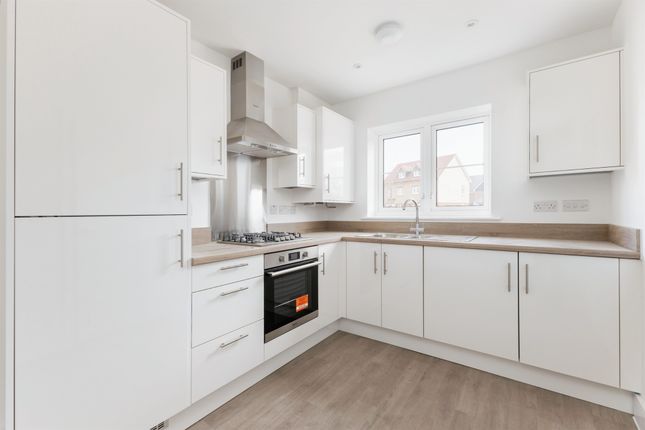 Plot 79, The Cedar, White House Park, Buckenham Road, Attleborough photo 2