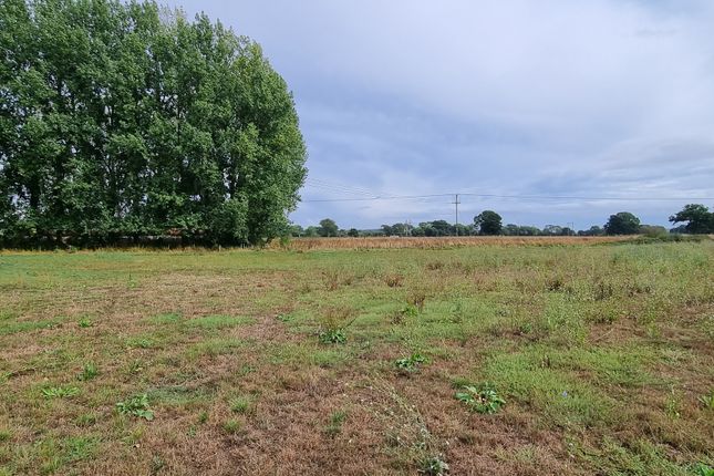 Land for sale in Moor Lane, Sturminster Marshall, Wimborne
