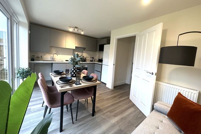 The Hylton- Kirby Woodlands, Priors Hall Park photo 3