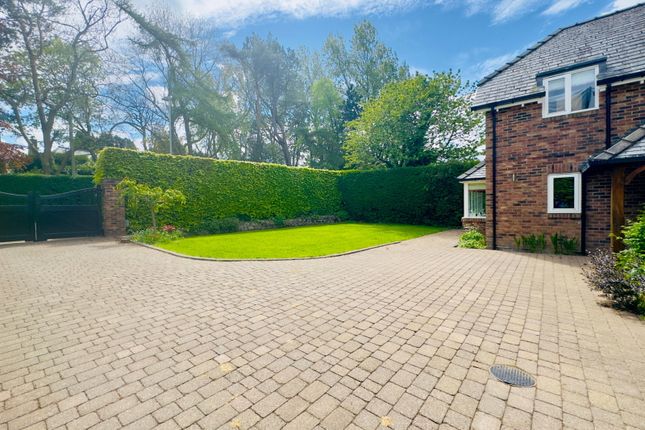 26, Edge Hill, Newcastle Upon Tyne photo 2
