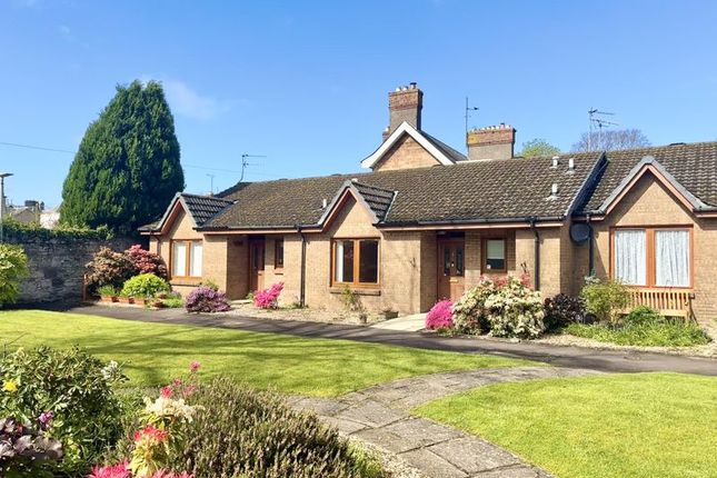 Thumbnail Terraced bungalow for sale in Carrick Gardens, Ayr
