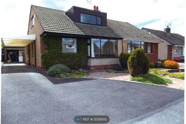 Thumbnail Bungalow to rent in Park Avenue, Clitheroe