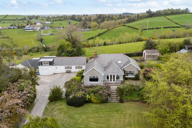 66, Dunmore Road, Ballynahinch photo 3